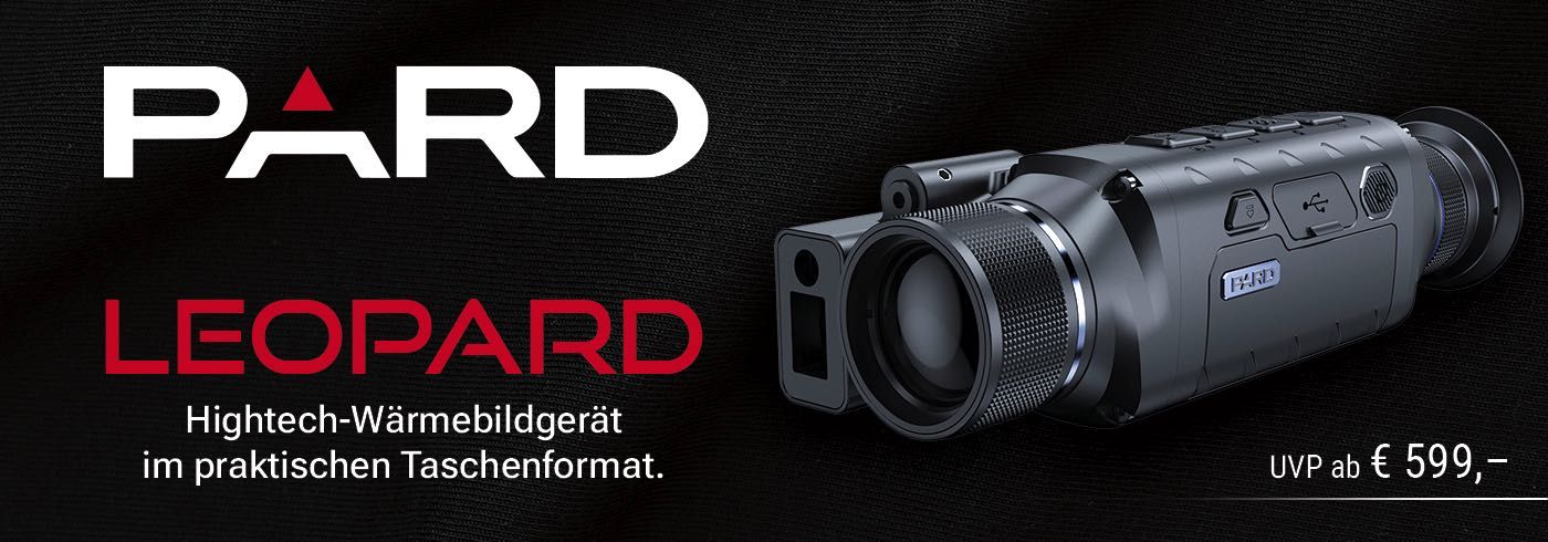 Pard Leopard Pard Leopard