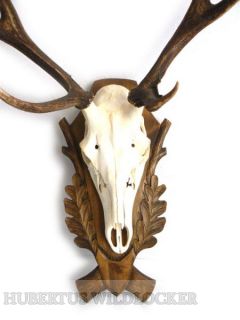 Hubertus Rothirschtrophäenschild Hubertus Rothirschtrophäenschild