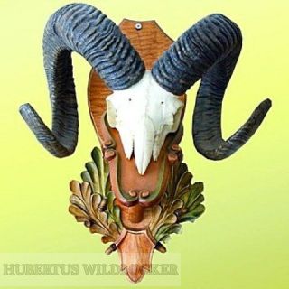 Premium Muffelwidderschild - Handbemalt