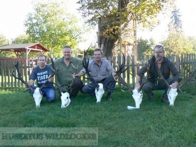 Rothirschlocker Hirschruf Hubertus 3- teilig TUBE Art.Nr. HU-2012301