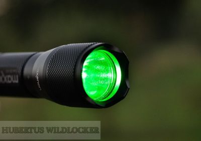 Wildfinder Lampe Maxenon Maxx3 Cree LED grn