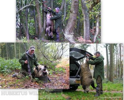 APEX AutoClick Fahrzeug Wildgalgen HU-20162201