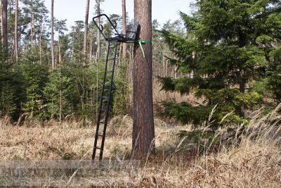 Teleskopleiter ANSITZ ALU Hhe 3,10 m Art Nr.190310