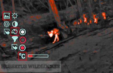 NITEHOG TIR M35 AC Viper Art.Nr.20220351