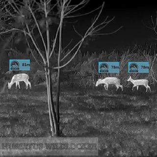 CYCLOPS 325 V.3 THERMTEC-HD-Monokular Wrmebildgert Art.Nr.2022325