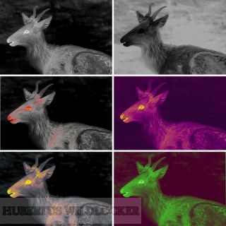 CYCLOPS 325 V.3 THERMTEC-HD-Monokular Wrmebildgert Art.Nr.2022325