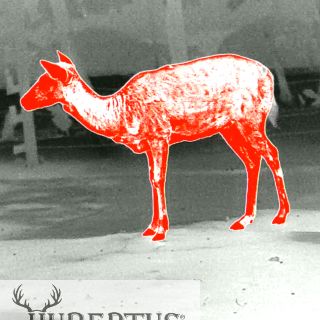 PARD TA32 LRF Wrmebild-Monokula Pard mit 35mm Objektiv