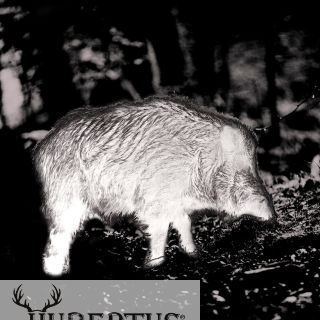 PARD TA32 LRF Wrmebild-Monokula Pard mit 35mm Objektiv