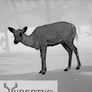 PARD TA32 LRF Wrmebild-Monokula Pard mit 35mm Objektiv