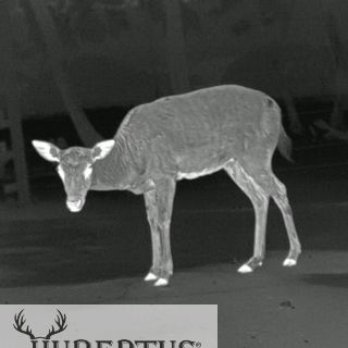 PARD Predator 640 LRF /mit 45 mm Objektiv. Wrmebild 2in1 Vorsatz - Monokular Gert