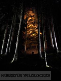 Hunter- Lampenset Maxenon Maxx3 Standart