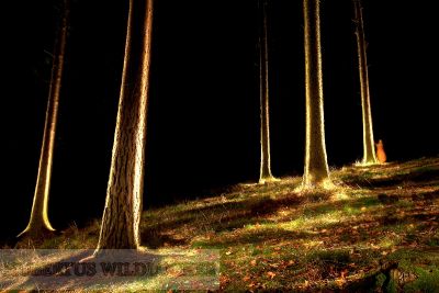 Maxenon -Lampen Outdoorset Maxx3