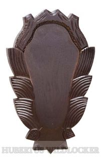 Gams - Gehörnschild Gams - Gehörnschild