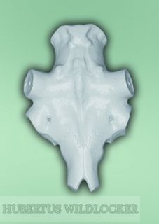 Elch -Sch�del-Nachbau Holz