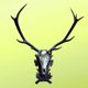 Rothirsch Troph�enschild Handmade