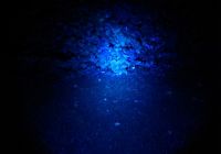 Schweifinder Filterglas Farbe blau  fr Maxx 5 LED Power Lampe