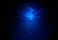 Schweißfinder Filterglas Farbe blau für Maxx 5 LED Power Lampe Schweißfinder Filterglas Farbe blau für Maxx 5 LED Power Lampe